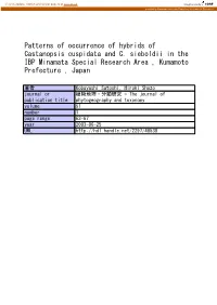 Patterns of Occurrence of Hybrids of Castanopsis Cuspidata and C