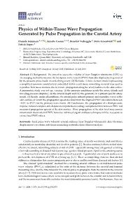 Physics of Within-Tissue Wave Propagation Generated by Pulse Propagation in the Carotid Artery