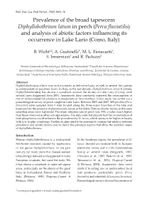 Prevalence of the Broad Tapeworm Diphyllobothrium Latum in Perch