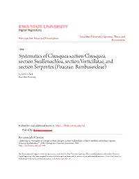 Systematics of Chusquea Section Chusquea, Section Swallenochloa, Section Verticillatae, and Section Serpentes (Poaceae: Bambusoideae) Lynn G