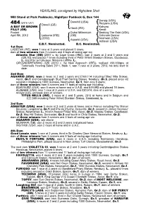 YEARLING, Consigned by Highclere Stud