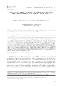 Molecular Characterization of Cereal Yellow Dwarf Virus-Rpv in Grasses in European Part of Turkey
