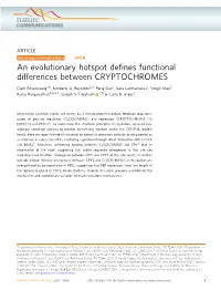 An Evolutionary Hotspot Defines Functional Differences Between