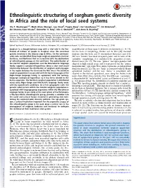 Ethnolinguistic Structuring of Sorghum Genetic Diversity in Africa and the Role of Local Seed Systems