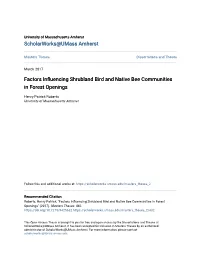 Factors Influencing Shrubland Bird and Native Bee Communities in Forest Openings