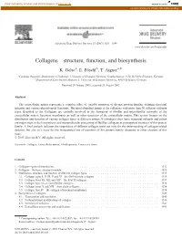 Collagens—Structure, Function, and Biosynthesis