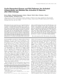 Cyclin-Dependent Kinases and P53 Pathways Are Activated Independently and Mediate Bax Activation in Neurons After DNA Damage