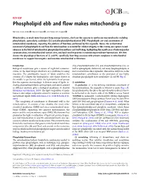 Phospholipid Ebb and Flow Makes Mitochondria Go