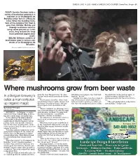 Where Mushrooms Grow from Beer Waste