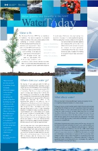 Water Quality and Quantity in The