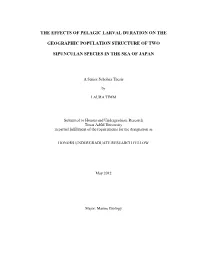Title Is Centered, All Caps, Bold, Size 14 Times New