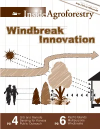 Windbreak Innovation
