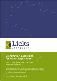 Examination Guidelines for Patent Applications