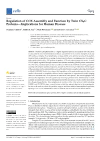 Regulation of COX Assembly and Function by Twin CX9C Proteins—Implications for Human Disease