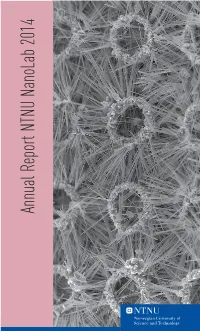 Annual Report NTNU Nanolab 2014