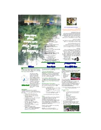 Black River Canoeing Information And