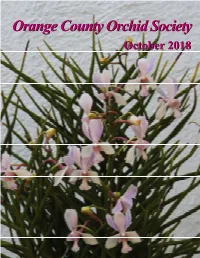 October 20182018