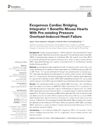 Exogenous Cardiac Bridging Integrator 1 Benefits Mouse Hearts with Pre-Existing Pressure Overload-Induced Heart Failure