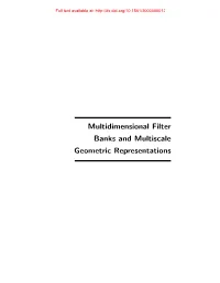 Multidimensional Filter Banks and Multiscale Geometric Representations Full Text Available At