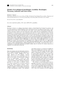 Identity of an Endangered Grasshopper (Acrididae: Brachaspis): Taxonomy, Molecules and Conservation