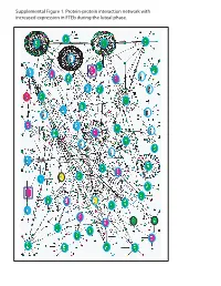 Supplemental Figure 1. Protein-Protein Interaction Network with Increased Expression in Fteb During the Luteal Phase