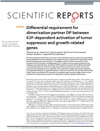 Differential Requirement for Dimerization Partner DP Between