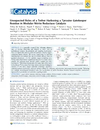 Unexpected Roles of a Tether Harboring a Tyrosine Gatekeeper Residue in Modular Nitrite Reductase Catalysis † ‡ † † † Tobias M