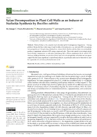 Xylan Decomposition in Plant Cell Walls As an Inducer of Surfactin Synthesis by Bacillus Subtilis