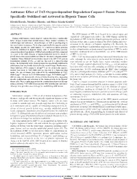 Antitumor Effect of TAT-Oxygen-Dependent Degradation-Caspase-3 Fusion Protein Specifically Stabilized and Activated in Hypoxic Tumor Cells