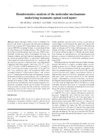 Bioinformatics Analysis of the Molecular Mechanisms Underlying Traumatic Spinal Cord Injury