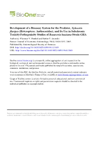 Development of a Bioassay System for the Predator, Xylocoris Flavipes
