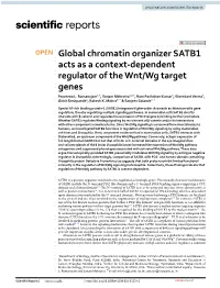 Global Chromatin Organizer SATB1 Acts As a Context-Dependent