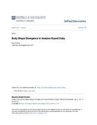 Body Shape Divergence in Invasive Round Goby
