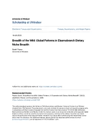 Breadth of the Wild: Global Patterns in Elasmobranch Dietary Niche Breadth