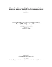 Studying the Representation of Immigrant Cultural Identity In
