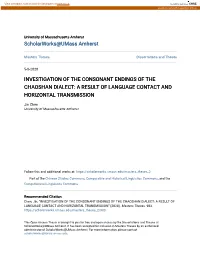 Investigation of the Consonant Endings of the Chaoshan Dialect: a Result of Language Contact and Horizontal Transmission