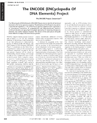 The ENCODE (Encyclopedia of S DNA Elements) Project