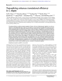 Trans-Splicing Enhances Translational Efficiency in C. Elegans