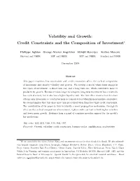 Volatility and Growth: Credit Constraints and the Composition of Investment∗