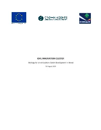 IDAL INNOVATION CLUSTER Strategy for an Innovation Cluster Development in Beirut