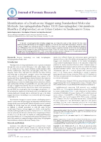 Identification of a Death-Scene Maggot Using Standardized Molecular