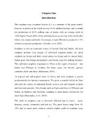 Chapter One Introduction