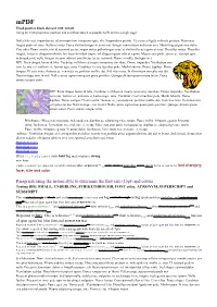Paragraph Using the In-Line Style to Determine the Font-Size (15Pt) and Colour