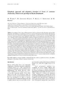 Polyphasic Approach and Adaptative Strategies of Nostoc Cf. Commune (Nostocales, Nostocaceae) Growing on Mayan Monuments