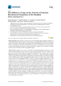 The Influence of Age on the Activity of Selected Biochemical