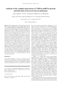 Analysis of the Complex Interaction of Cdr1as‑Mirna‑Protein and Detection of Its Novel Role in Melanoma