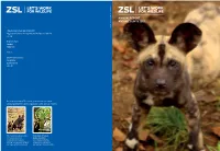 Annual Report and Accounts 2015