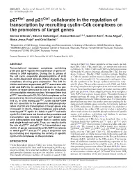 P27 and P21 Collaborate in the Regulation of Transcription By