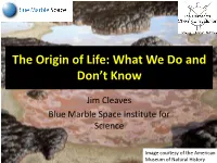 The Origin of Life: What We Do and Don't Know