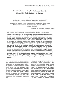 Junction Between Kupffer Cells and Hepatic Sinusoidal Endothelium. a Review This Short Review Was Prepared on the Basis of Trans